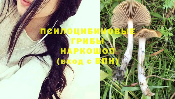 МДМА Елизово
