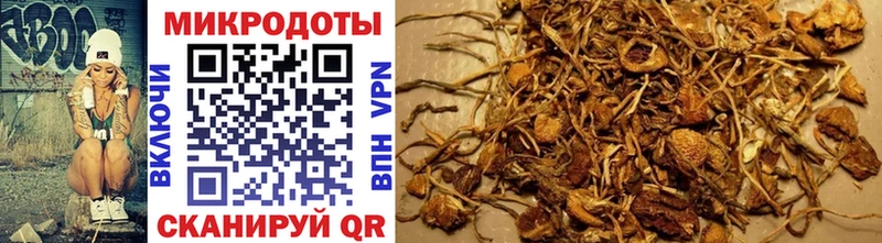 Купить закладки Артём Галлюциногенные грибы Cubensis