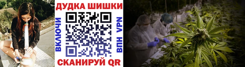 Купить закладки  Артём  Бошки Шишки сатива 